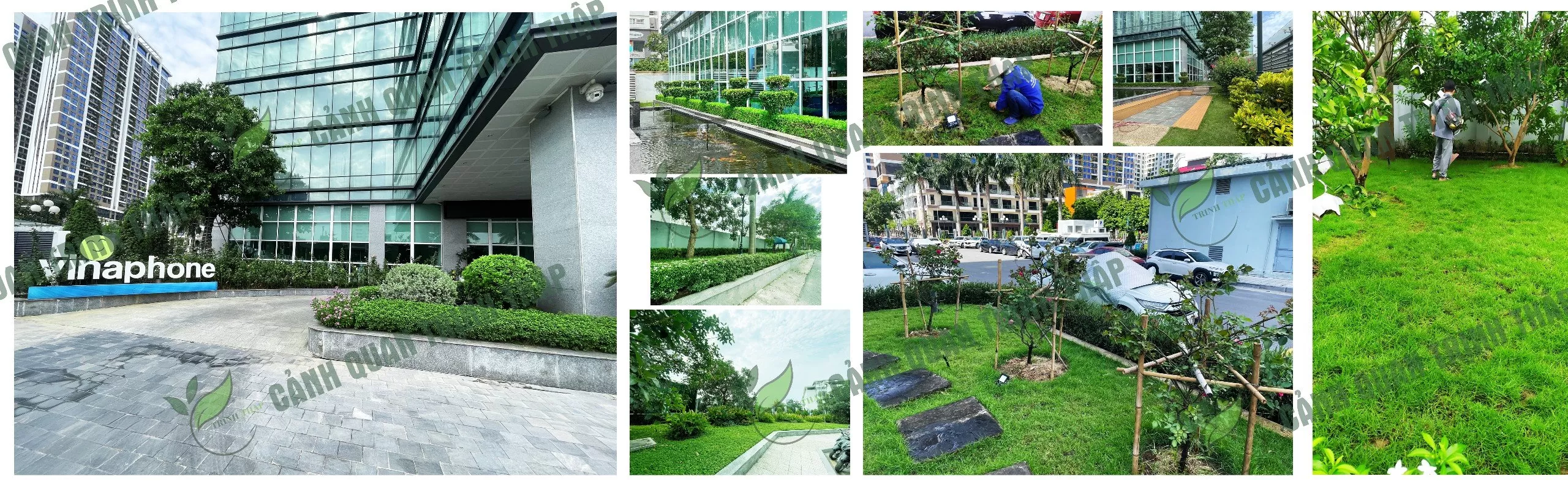 Banner công ty cây xanh tại Hà Nội - Trịnh Thập