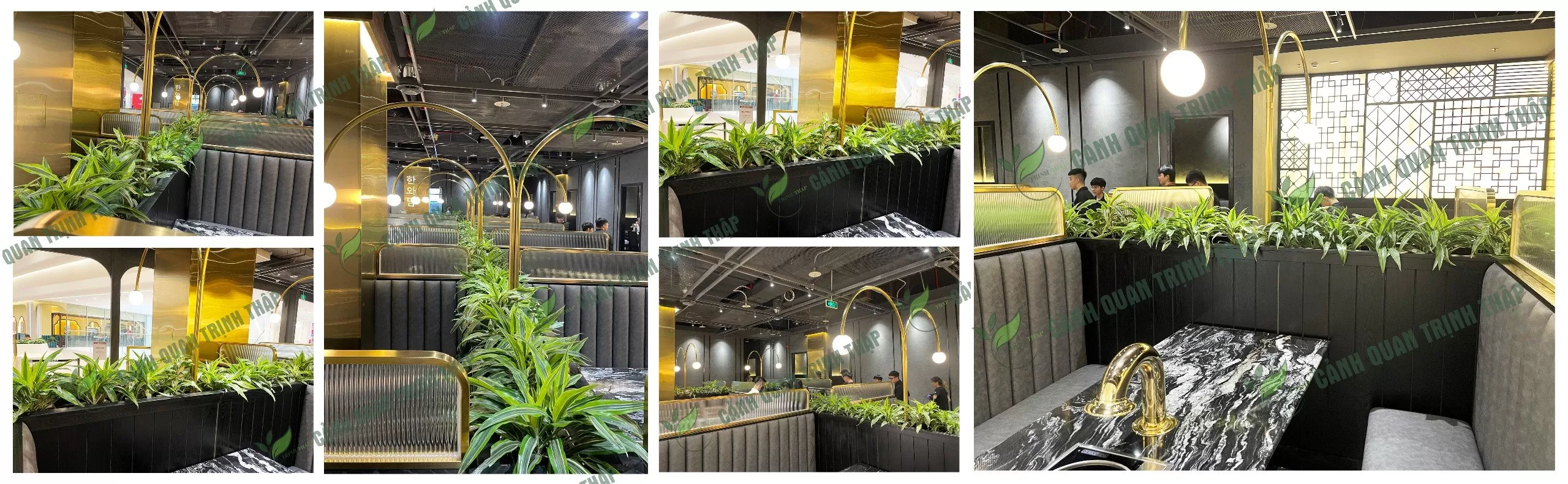 Banner cho thuê cây cảnh văn phòng tại Hà Nội
