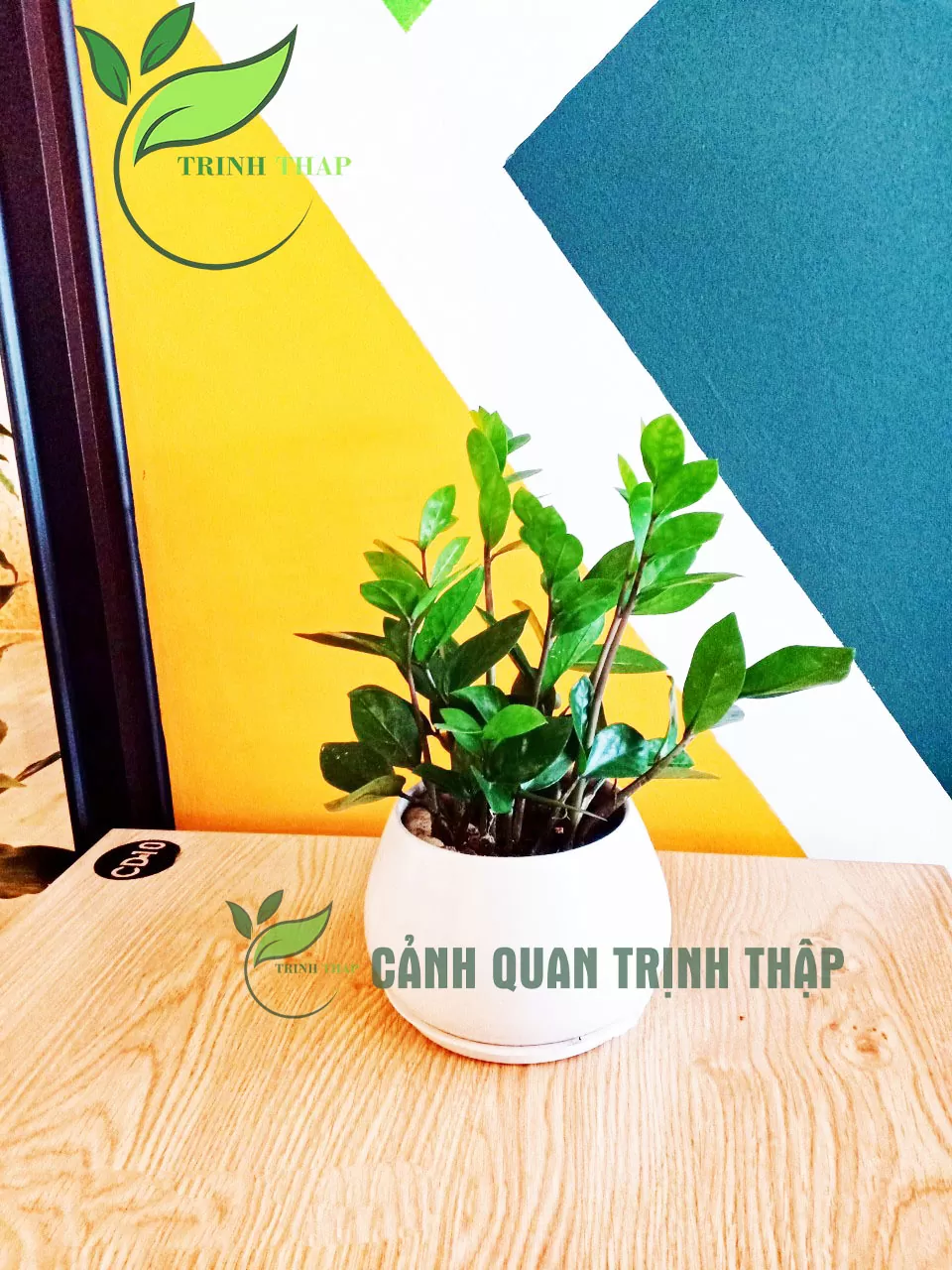 kim-tien-kim-phat-tai