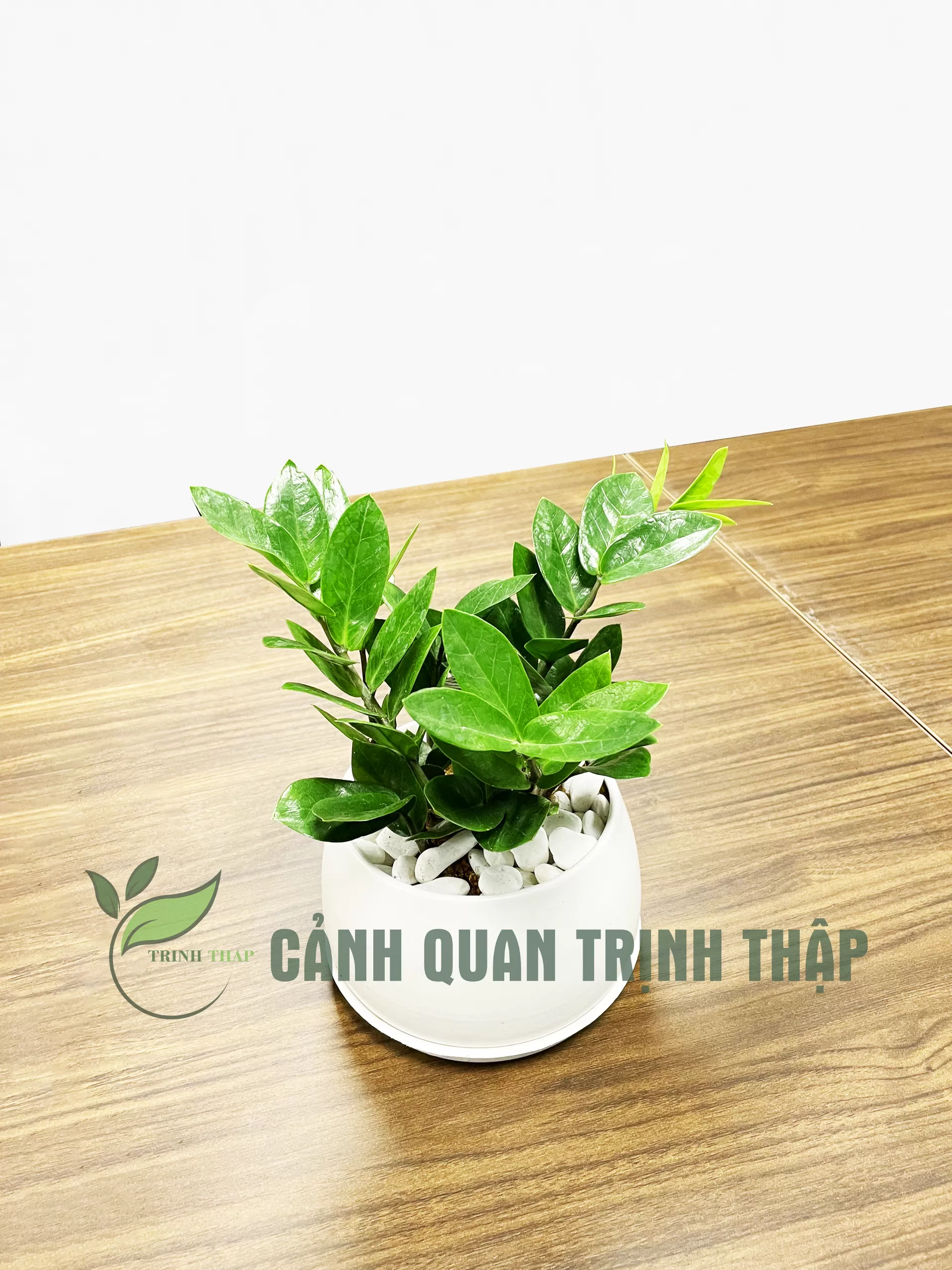 kim-tien-kim-phat-tai