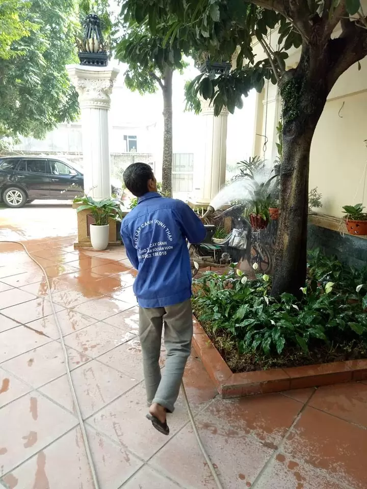 chăm sóc cây xanh tại Sơn Tây