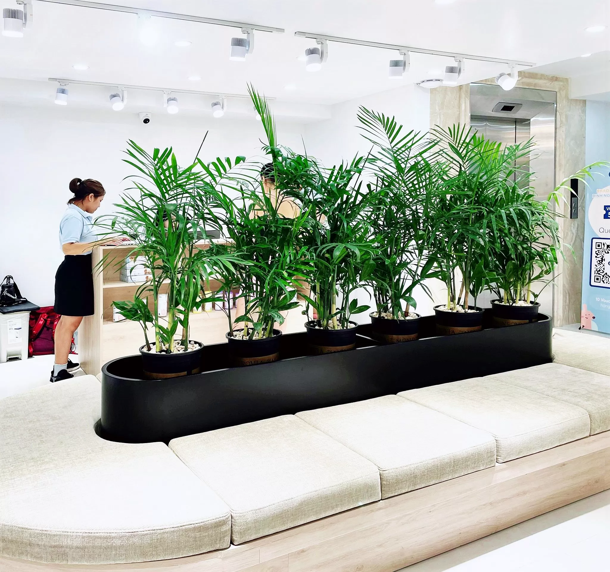 cung cấp cây cảnh tại Thanh Xuân