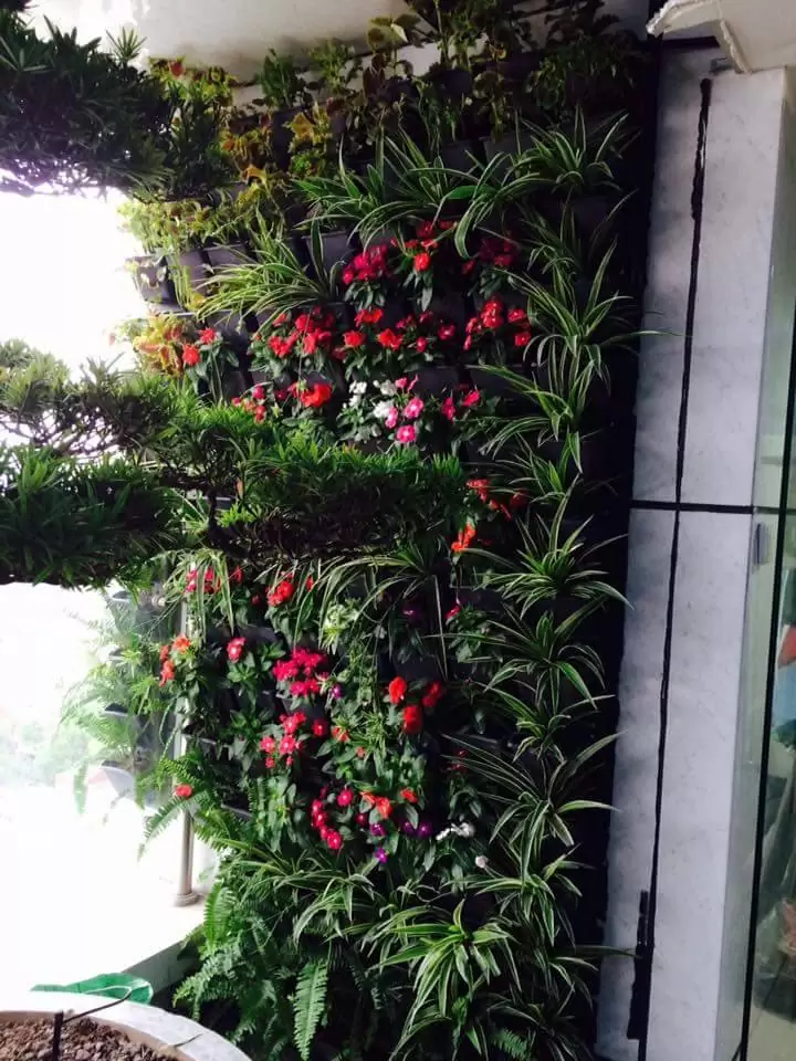 dịch vụ thiết kế cảnh quan sân vườn tại Thanh Xuân