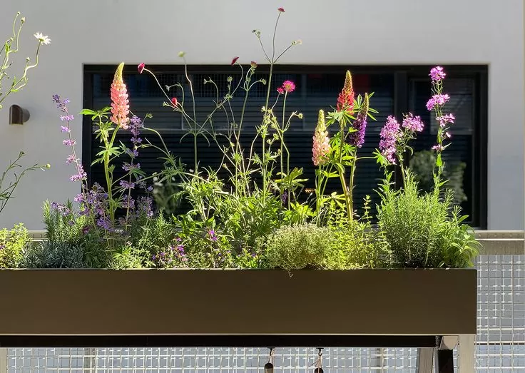 Cắt tỉa cây xanh tại Thạch Thất uy tín chất lượng