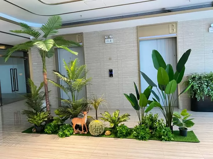 Chọn kích thước chậu và cây không phù hợp