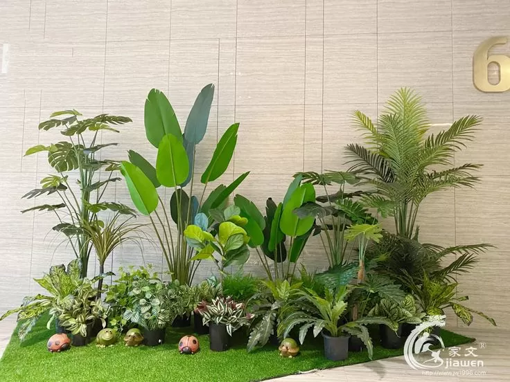 Cây xanh có tác dụng như thế nào trong không gian nhà bạn?