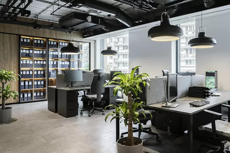 Bí quyết chọn cây