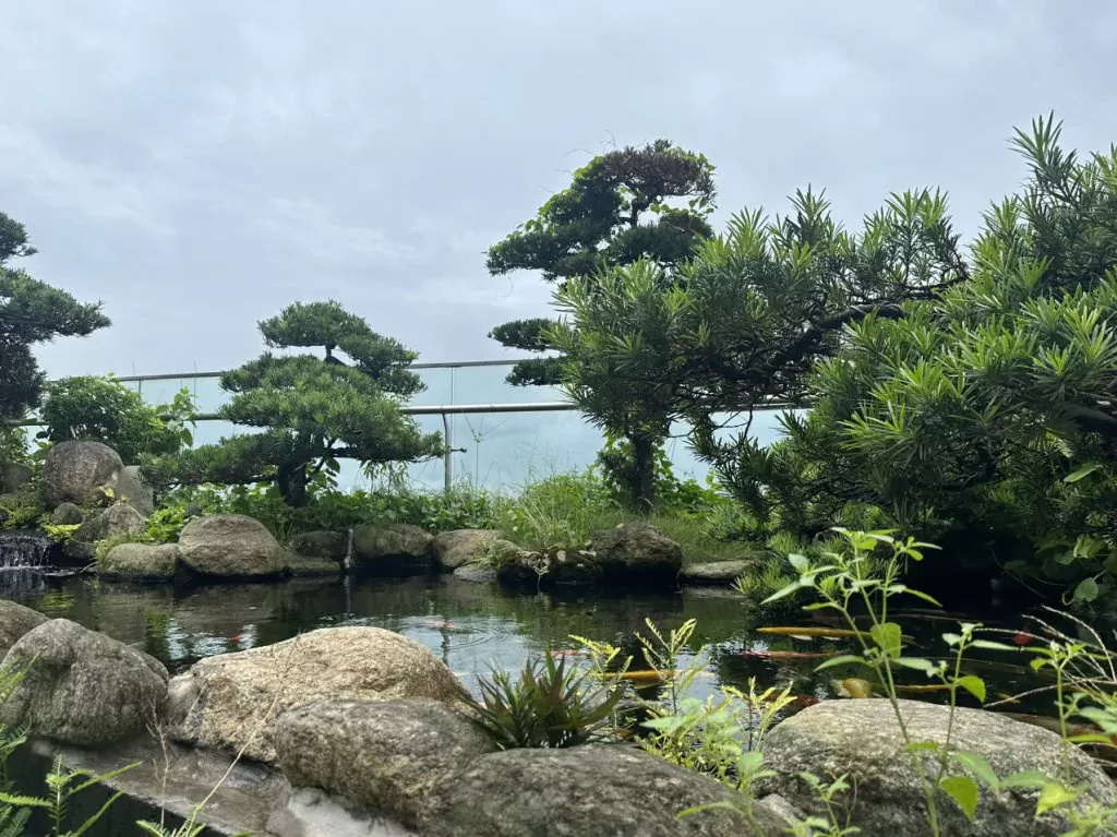 Công ty chăm sóc cây xanh tại Hà Nội